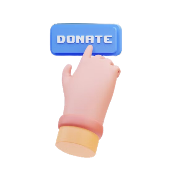 Donate Now button